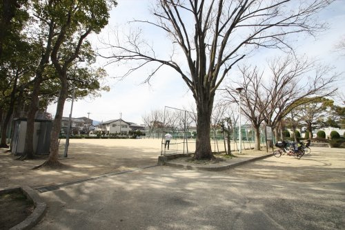 の画像