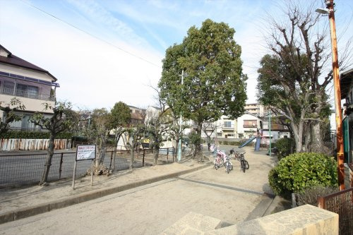 の画像