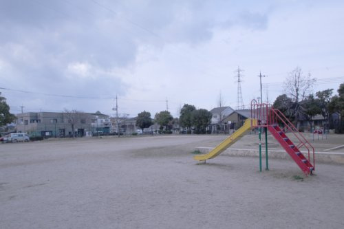 の画像