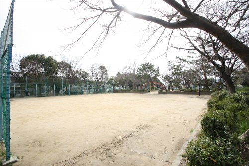 の画像