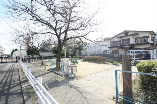 の画像