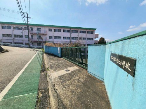 の画像
