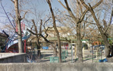 登美保育園