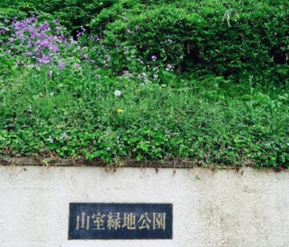 山室緑地公園の画像1