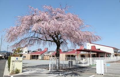 昭島すみれ幼稚園の画像1