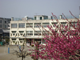 立川市立第七小学校