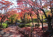 池田山公園