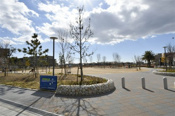 浜甲団地公園