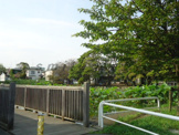 桜小路公園