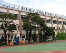 小学校 豊島区立富士見台小学校