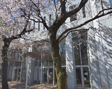 豊島区立明豊中学校