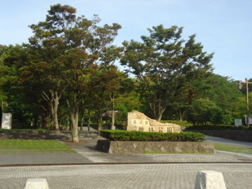 新林公園の画像1