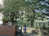 新林小学校