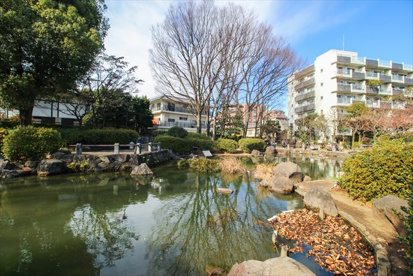 新井薬師公園 ひょうたん池の画像1