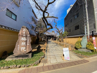 新井薬師 梅照院の画像2
