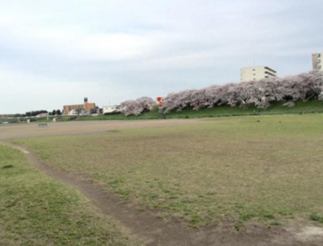 西武市民運動場の画像1