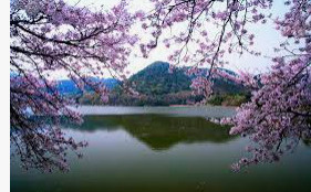 広沢池の画像1