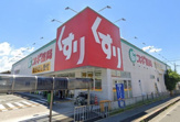 スギ薬局　和泉和田店