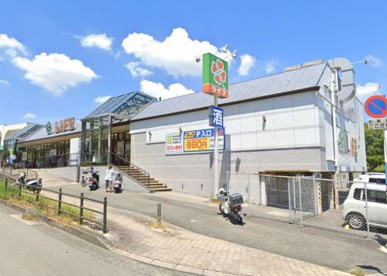 ライフ　城山店の画像1