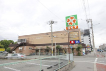 ライフ 新北島店