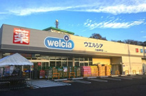 ウエルシア川越岸町店