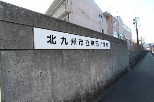 の画像