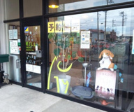 ウィル動物病院