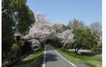 嵐山東公園