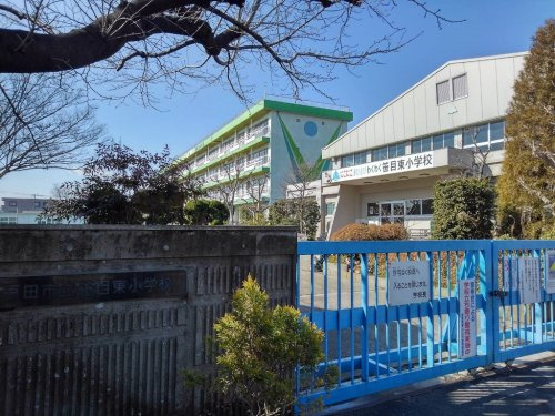 の画像