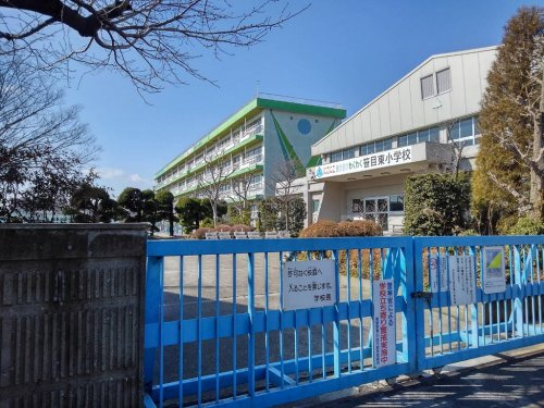 の画像