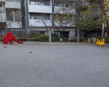 豊島区立高田第三公園
