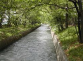 玉川上水緑道