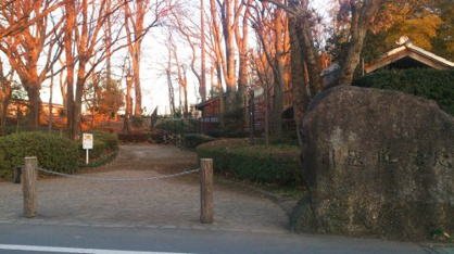 川越道緑地の画像2
