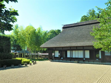 川越道緑地の画像3