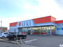 ドラッグストア セキ 上柴店