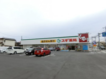 スギドラッグ 高崎並榎店