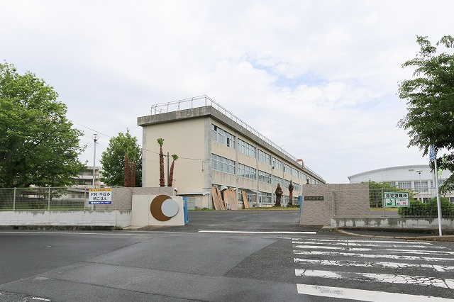 の画像
