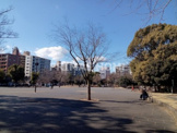 反町公園