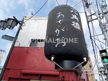 六角橋あさがお