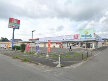 ウェルパーク相模原淵野辺店