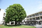 橋本市立橋本中央中学校