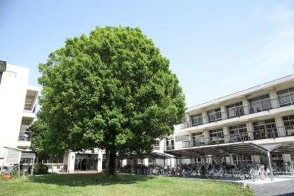 橋本市立橋本中央中学校の画像1
