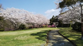 杉村公園