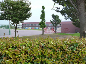 大胡東小学校の画像1