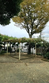散田南公園の画像2