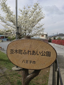 並木町ふれあい公園の画像1