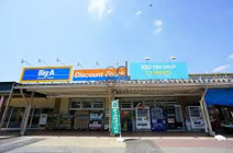 ビッグ・エー 東大和芝中団地店