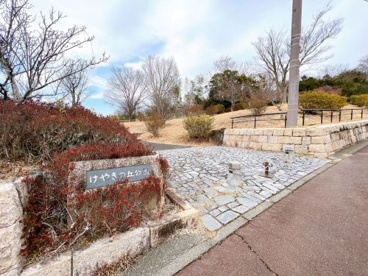 けやきの丘公園の画像1