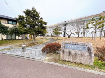 やまざくら公園の画像1