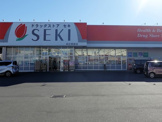 ドラッグストア セキ 本庄銀座店